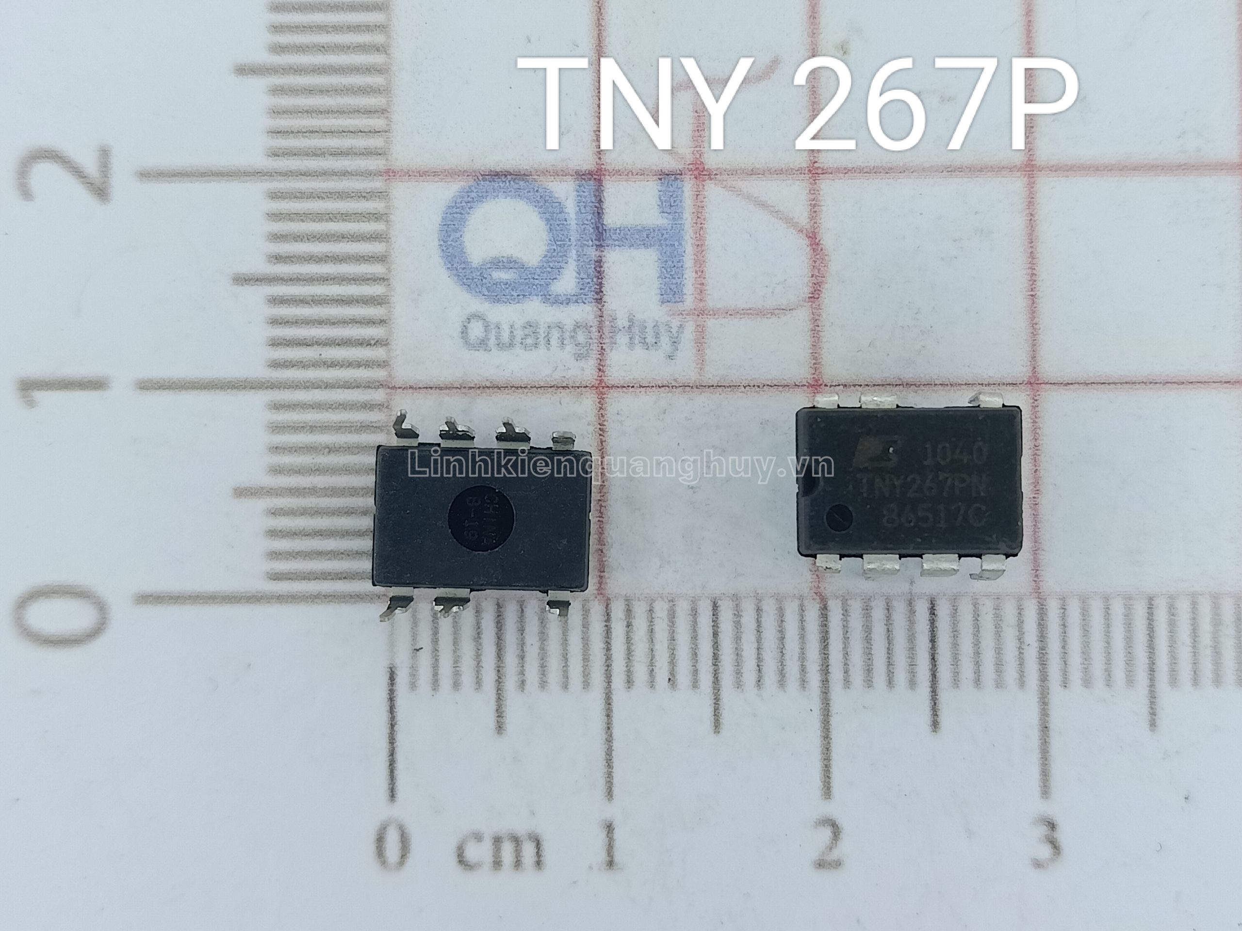 TNY 267P