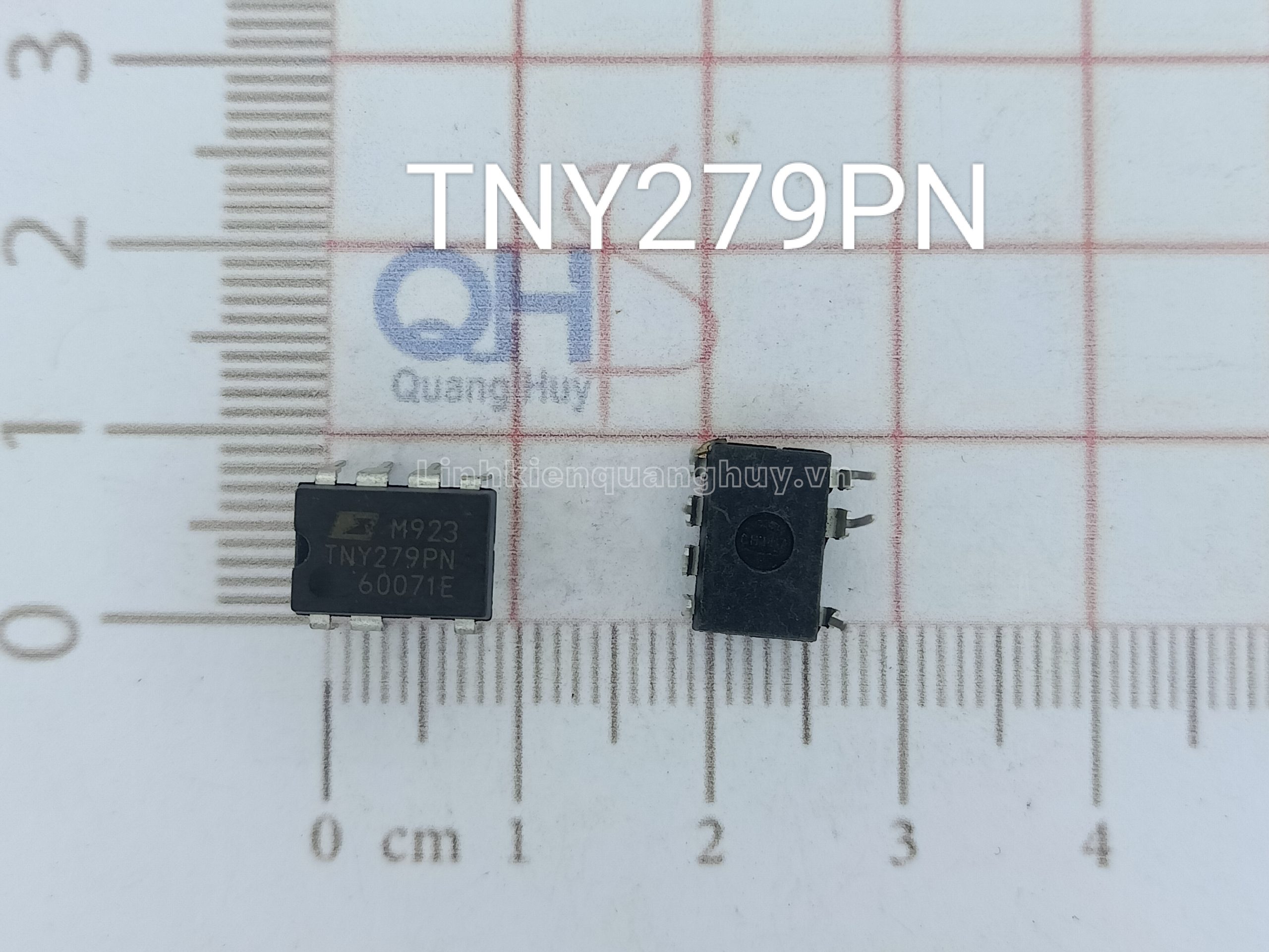 TNY 279PN