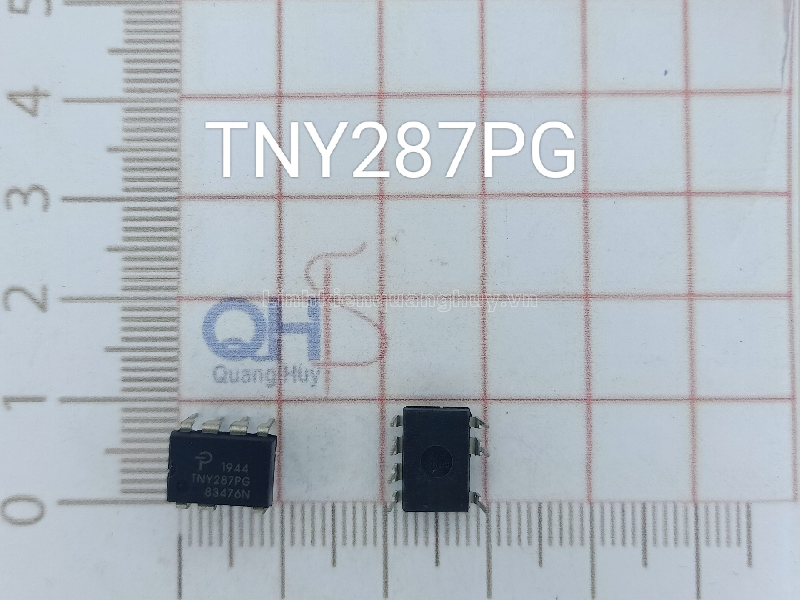 TNY 287PG