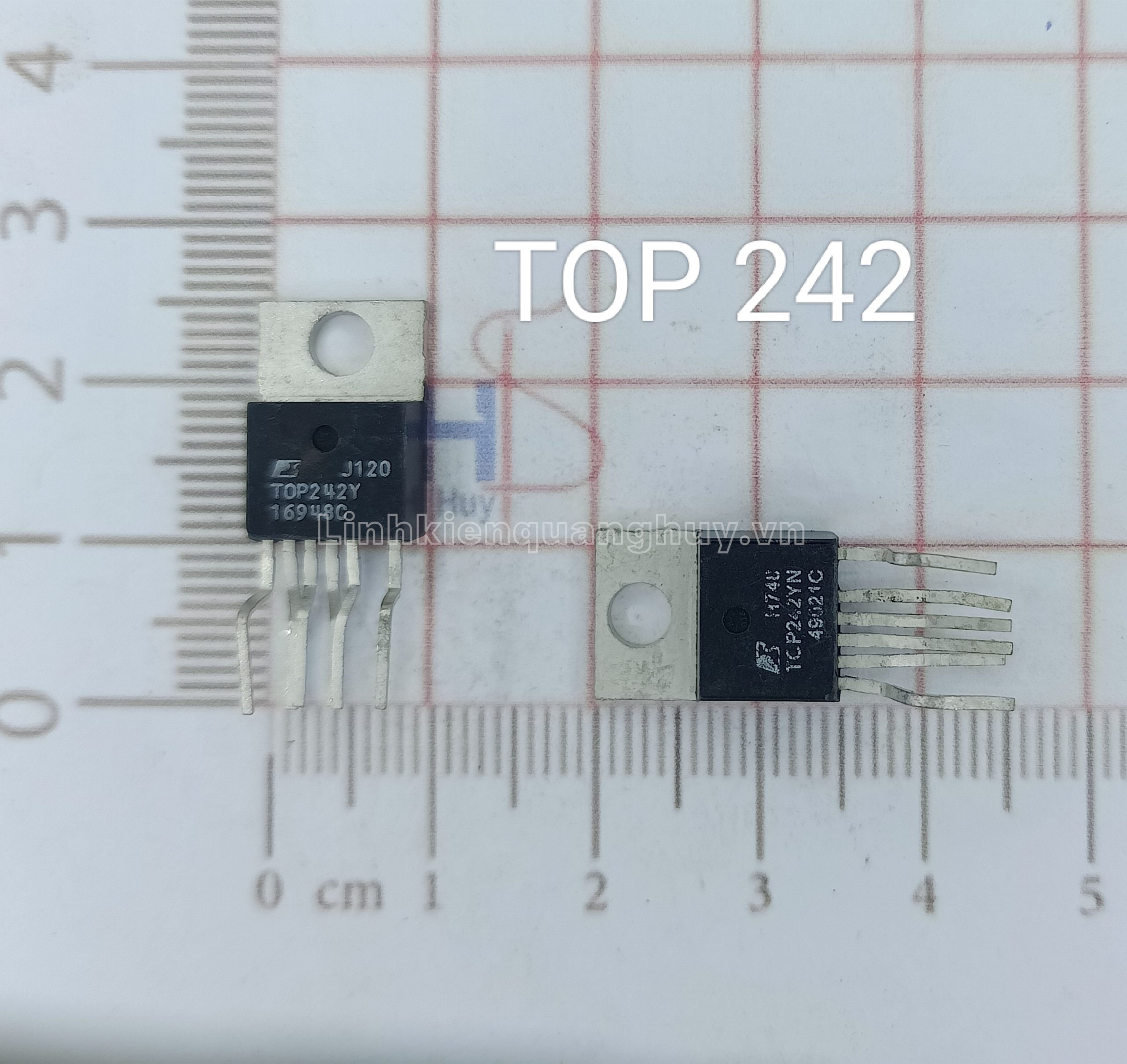 TOP 242
