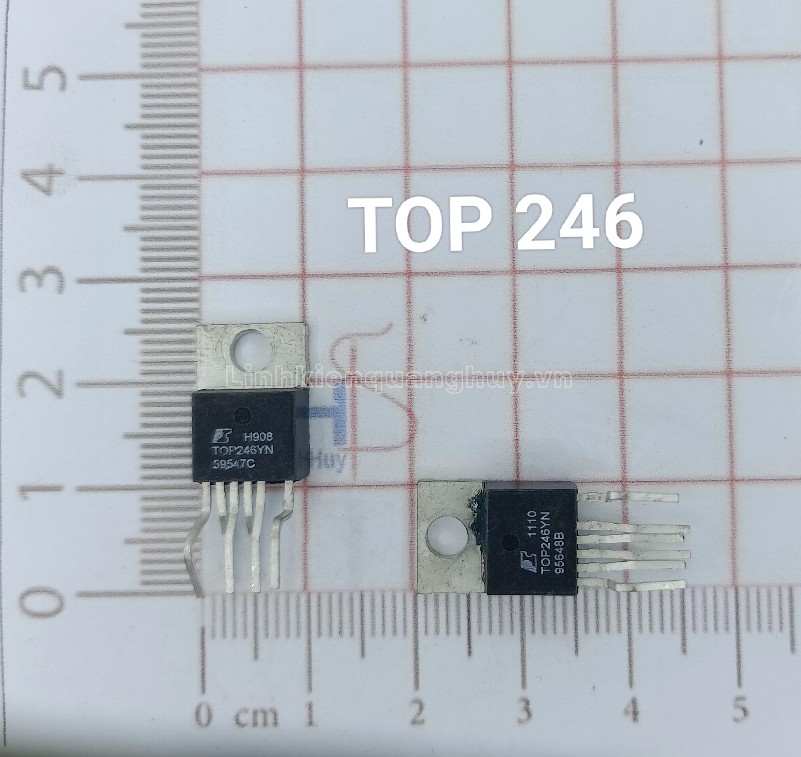 TOP 246