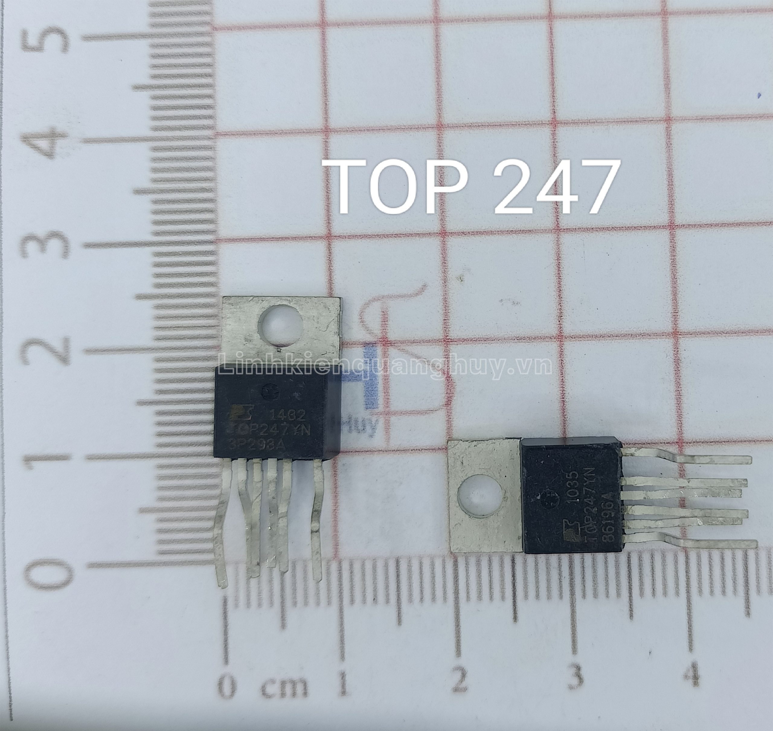 TOP 247
