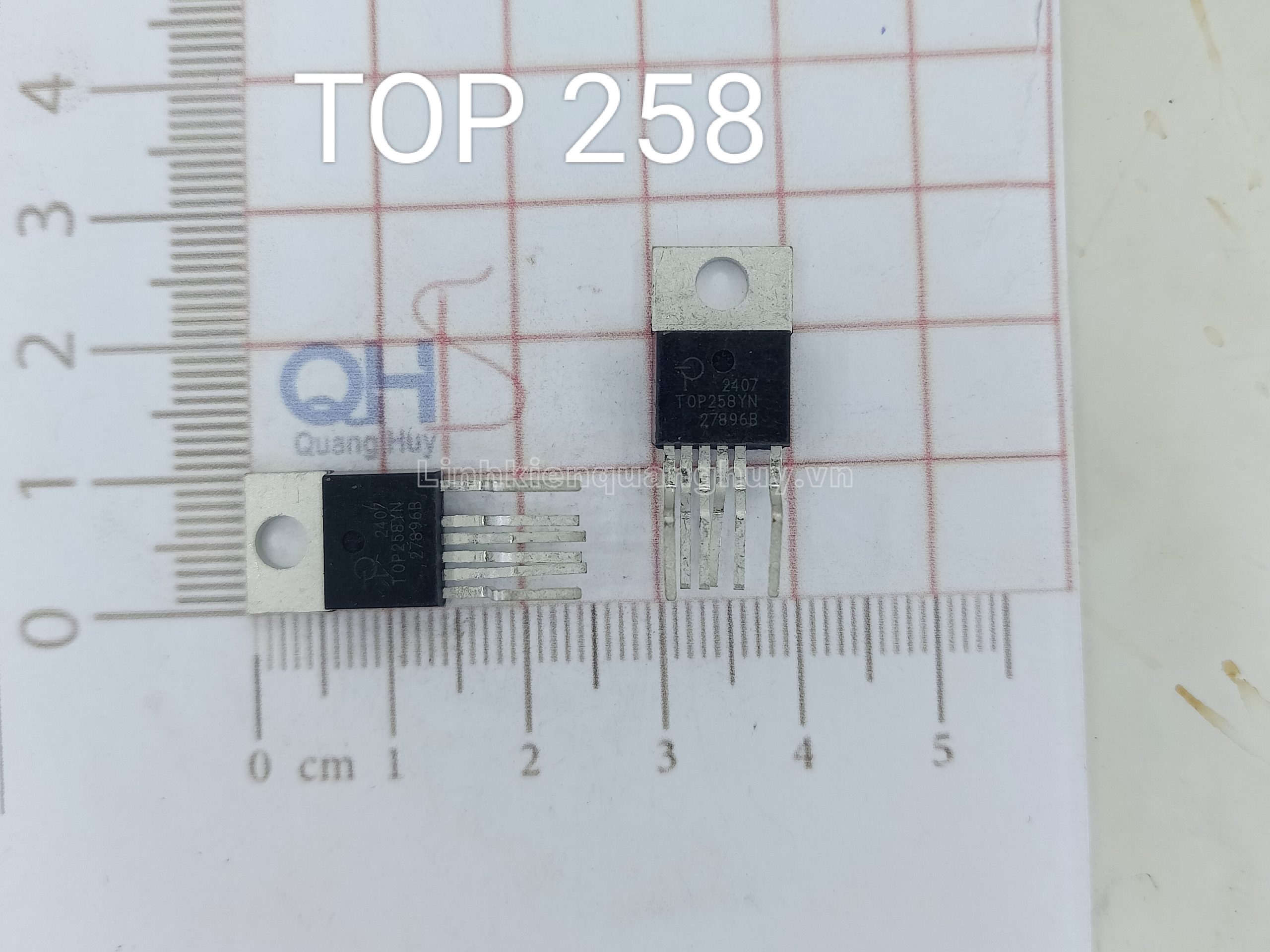 TOP 258