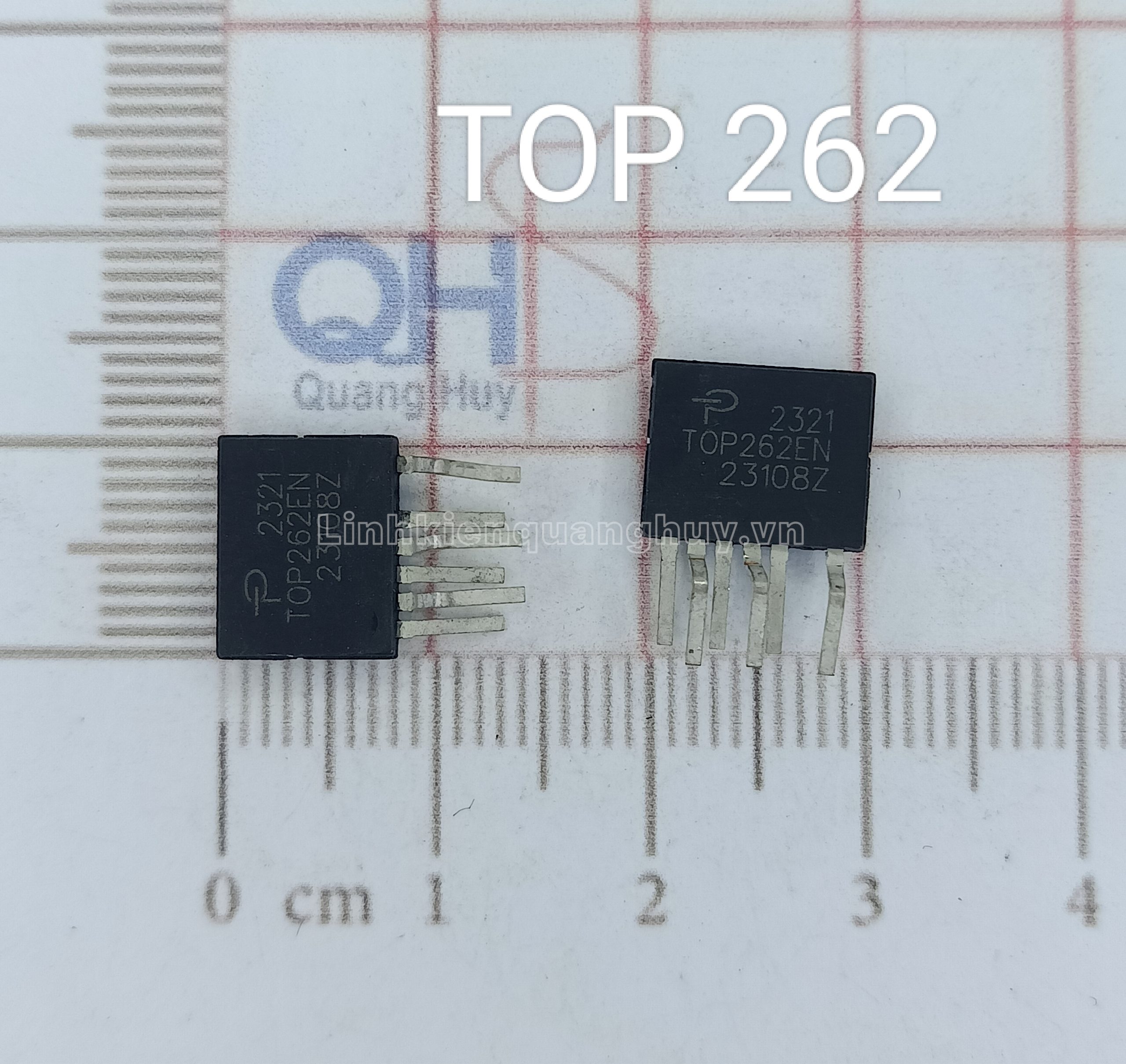 TOP 262