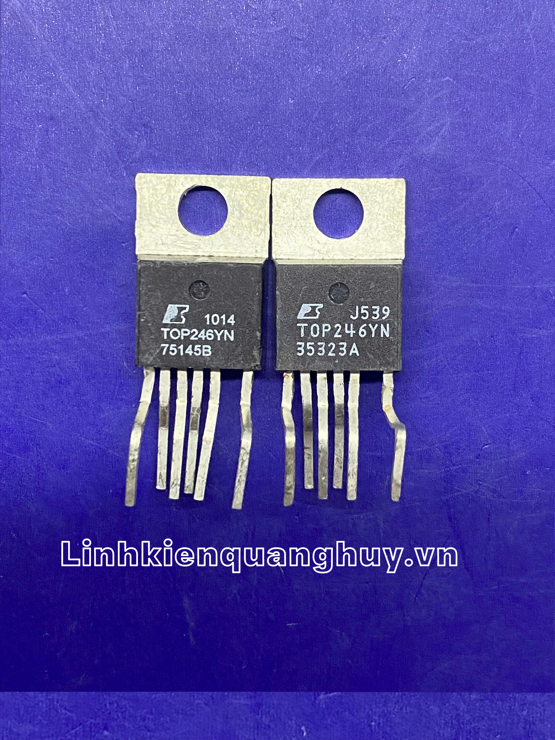 Top-246YN-SI trắng