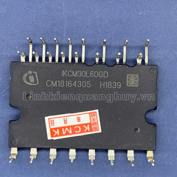 IKCM30L60GA