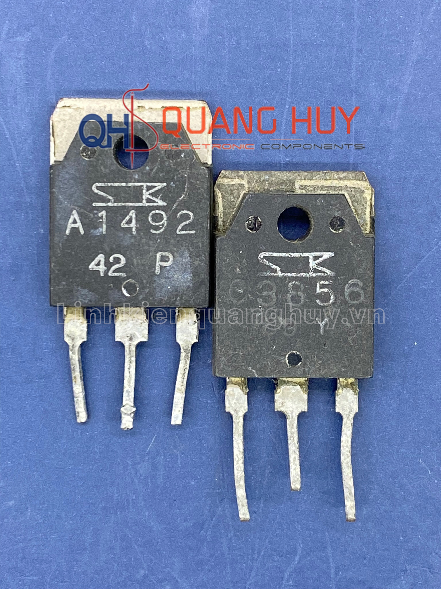 A1492&C3856