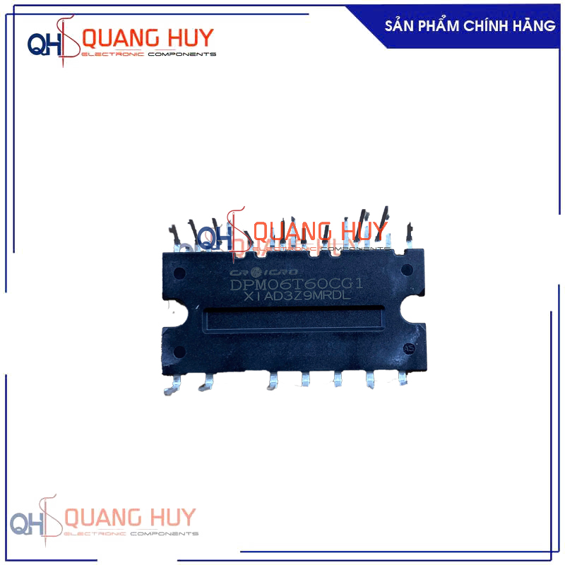 DPM06T60CG1