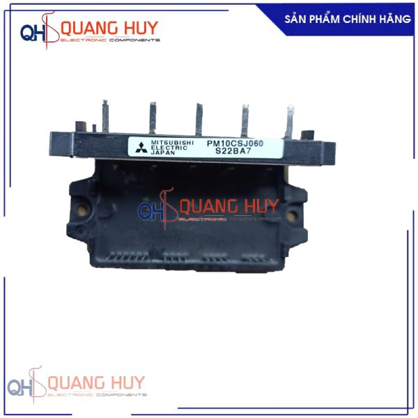 PM10CSJ060