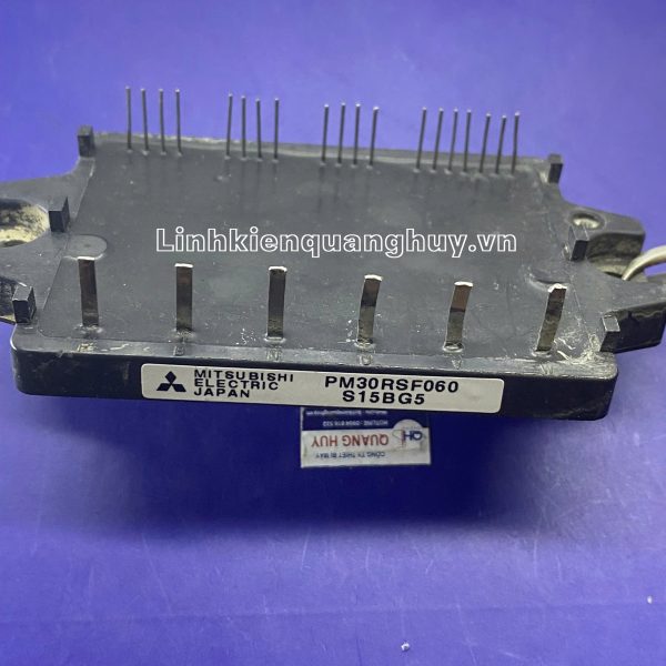 PM30RSF060 Module IPM Mitsubishi 30A 600V