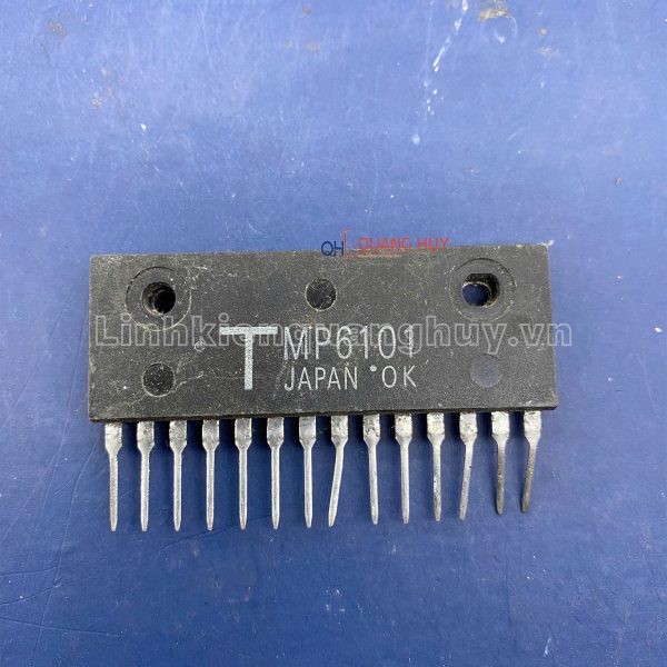TMP6101 SIP14 10A250V