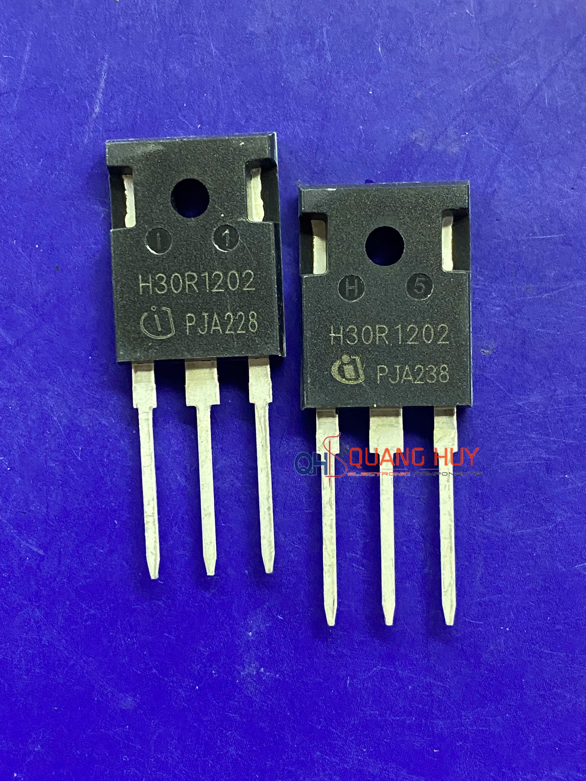 H30R1202