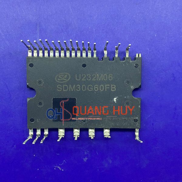 SDM30G60FB Module IGBT 30A 600V