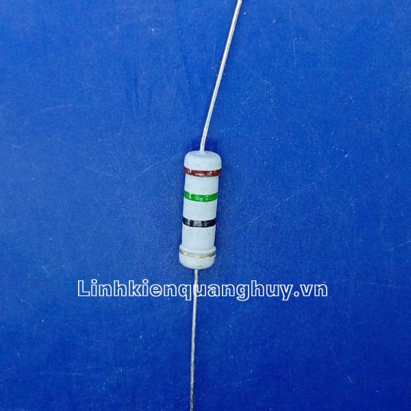 Điện Trở Vạch - Điện Trở Cắm 2W 15R 5% (10c)