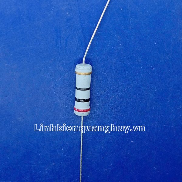 Điện Trở Vạch - Điện Trở Cắm 2W 20R 5% (10c)