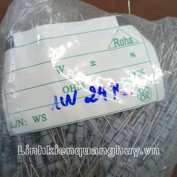 Điện Trở Vạch - Điện Trở Cắm 1W24R