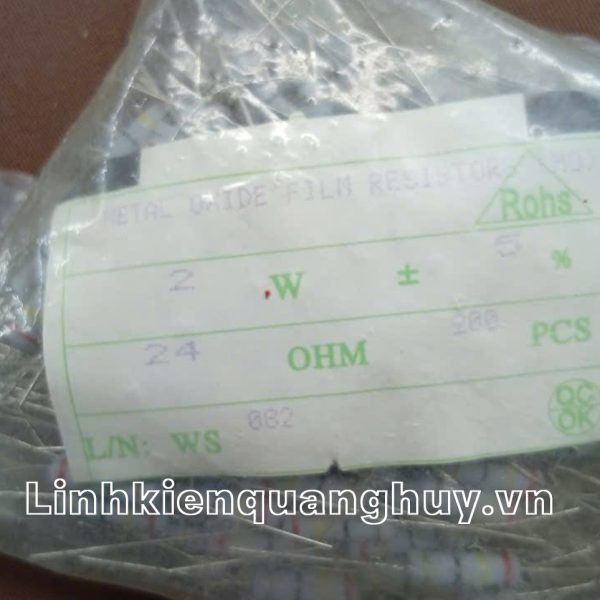 Điện Trở Vạch - Điện Trở Cắm 2W24R