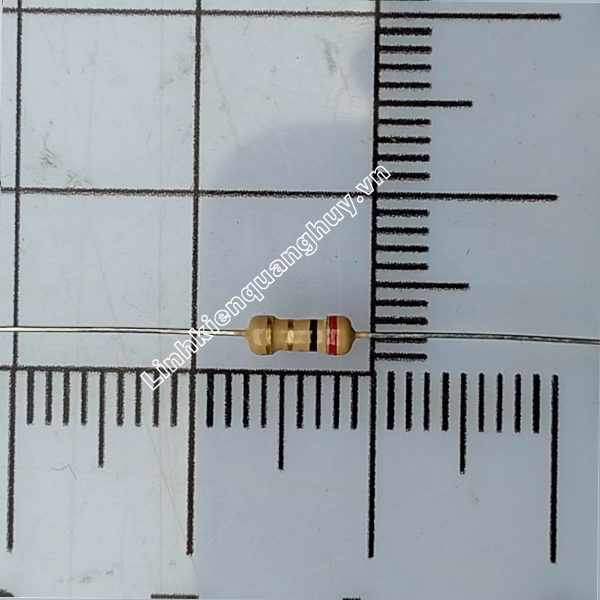 Điện Trở Vạch – Điện Trở Cắm 1/4W 2R 5% (50c)