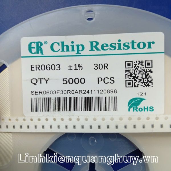 Điện Trở Dán 0603 30R (50c)