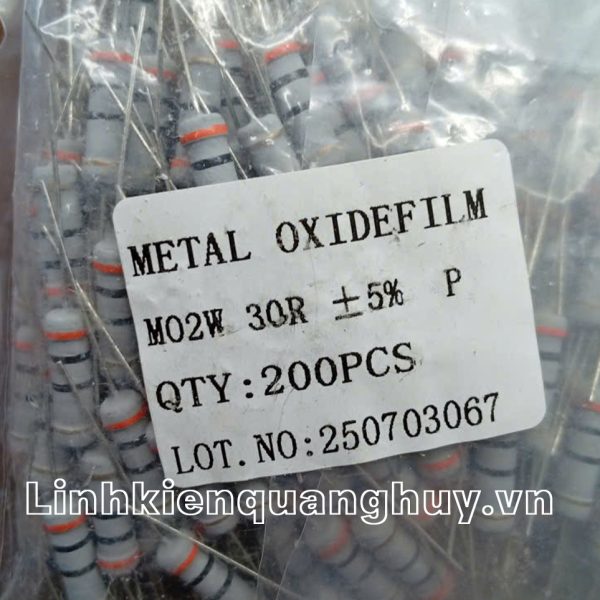 Điện trở vạch - Điện trở cắm 2W30R (10c)