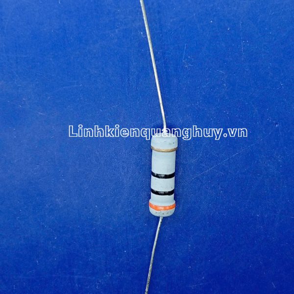 Điện trở vạch - Điện trở cắm 2W30R (10c)