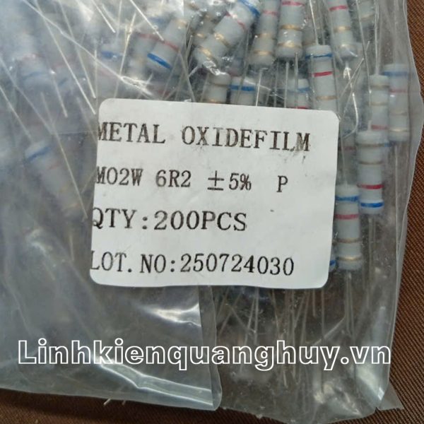 Điện trở vạch 2W 6R2 5% (10c)