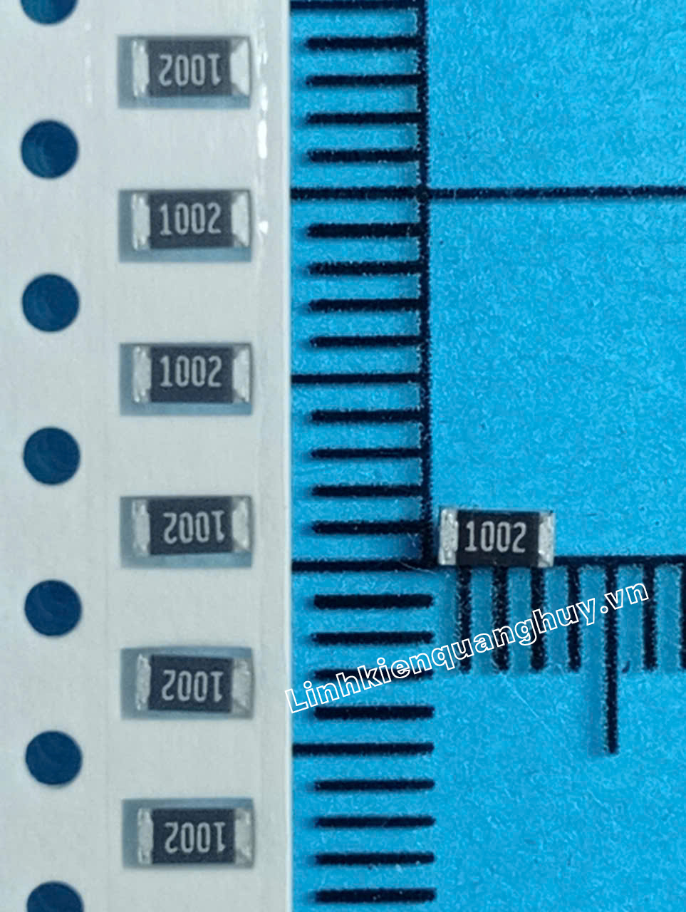 10K-1206