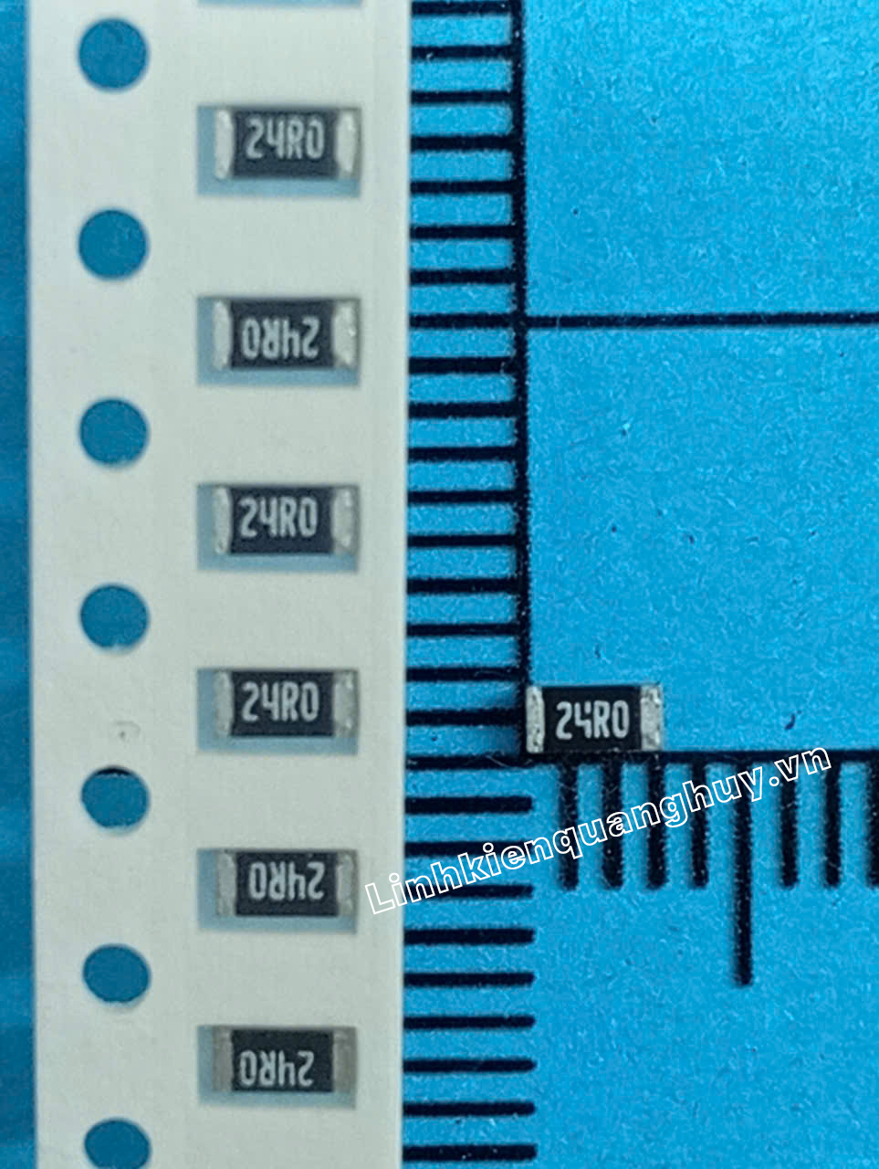 24R-1206