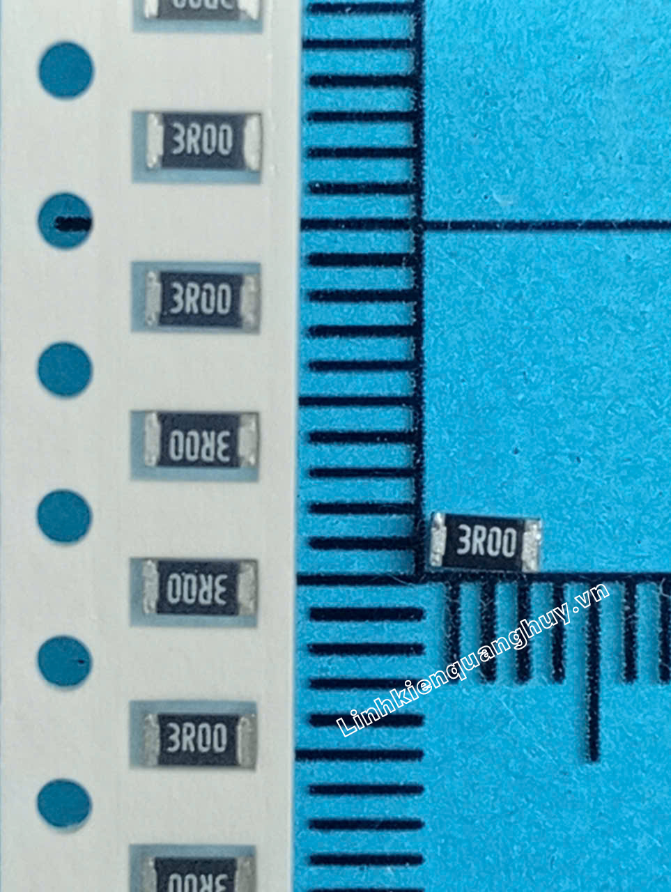 3R-1206