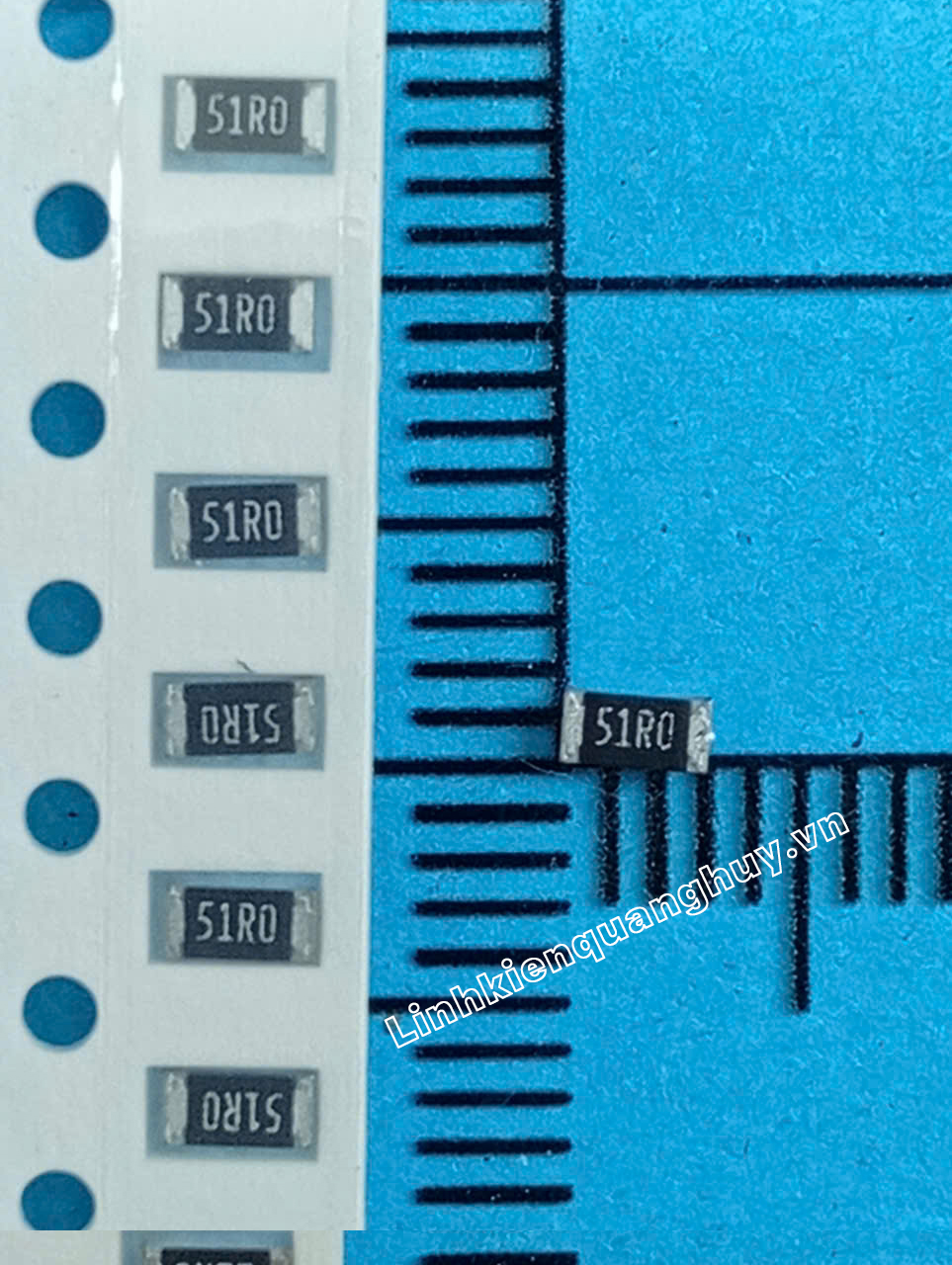 51R-1206