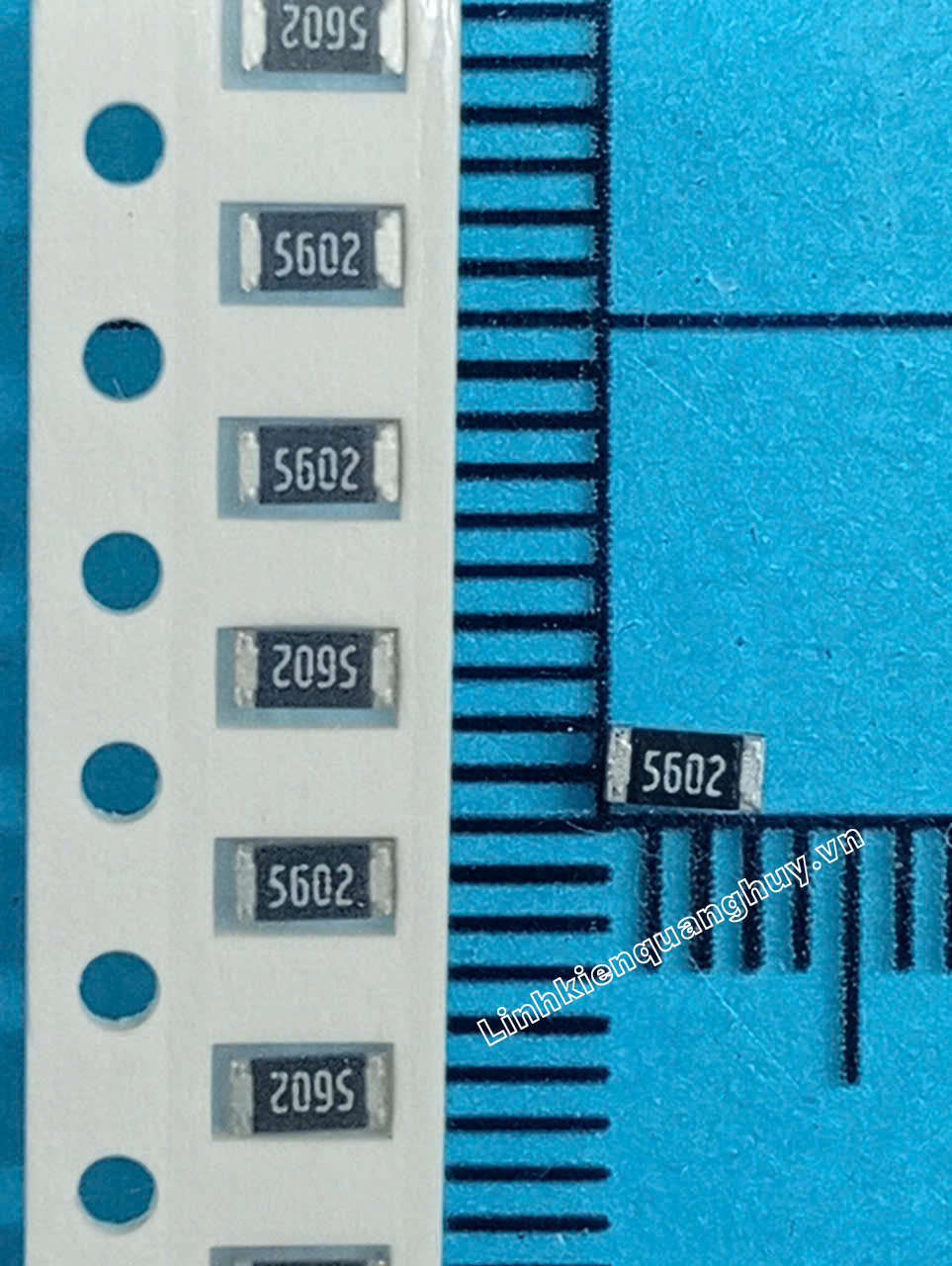 56K-1206
