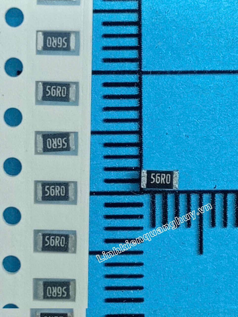 56R-1206