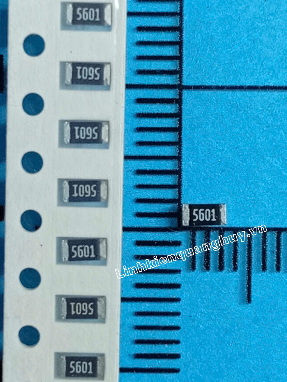 5K6-1206