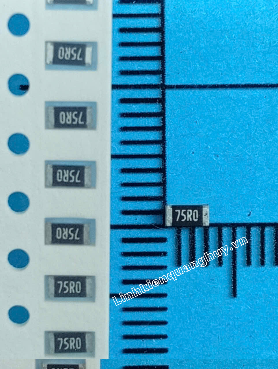 75R-1206