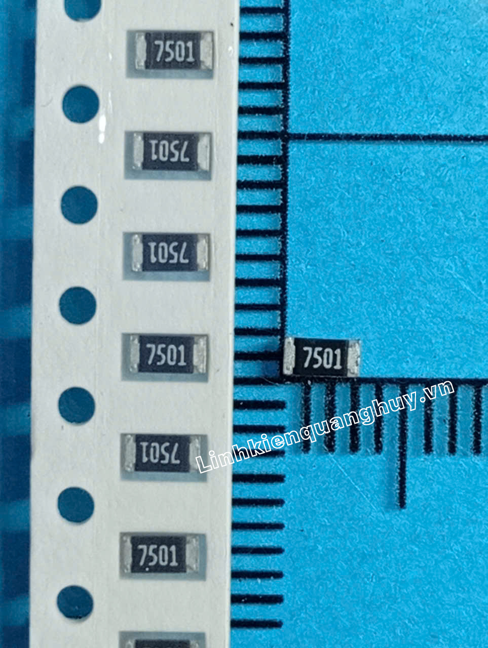7K5-1206