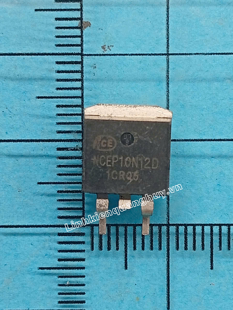NCEP10N12D