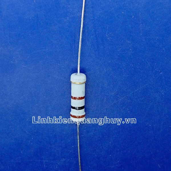 Điện Trở Vạch – Điện Trở Cắm 100R 2W 5% (10c)