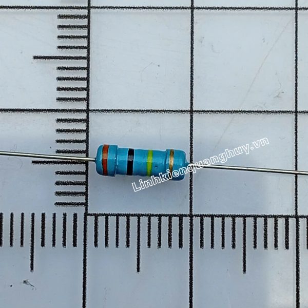 Điện trở vạch – Điện trở cắm 1/2W 300K 5% (10c)
