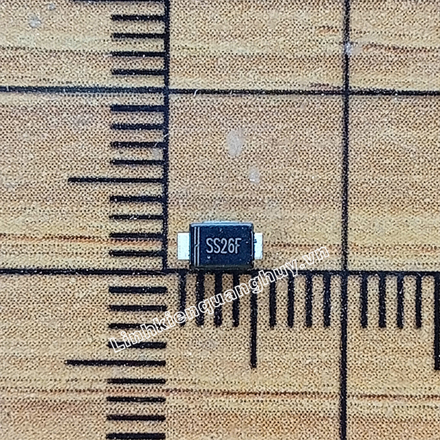 SS26F