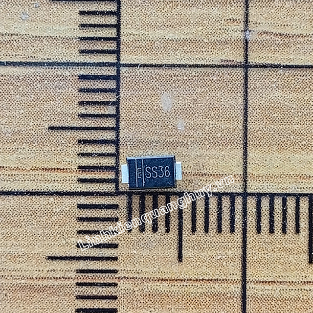 SS36